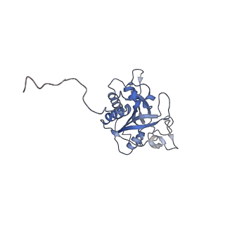 24249_7n8y_A_v1-2
Oxidized PheRS G318W from Salmonella enterica serovar Typhimurium