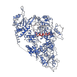 3601_5n8o_A_v1-7
Cryo EM structure of the conjugative relaxase TraI of the F/R1 plasmid system