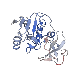 0379_6n9u_F_v1-1
Structure of bacteriophage T7 lagging-strand DNA polymerase (D5A/E7A) interacting with primase domains of two gp4 subunits bound to an RNA/DNA hybrid and dTTP (from LagS1)