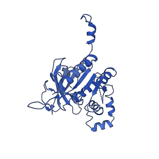 0380_6n9v_C_v1-1
Structure of bacteriophage T7 lagging-strand DNA polymerase (D5A/E7A) and gp4 (helicase/primase) bound to DNA including RNA/DNA hybrid, and an incoming dTTP (LagS1)