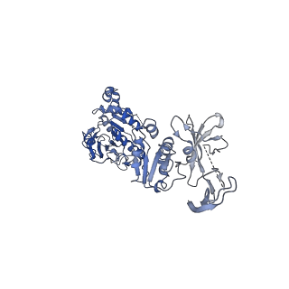 0380_6n9v_E_v1-1
Structure of bacteriophage T7 lagging-strand DNA polymerase (D5A/E7A) and gp4 (helicase/primase) bound to DNA including RNA/DNA hybrid, and an incoming dTTP (LagS1)