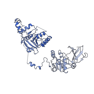 0380_6n9v_F_v1-1
Structure of bacteriophage T7 lagging-strand DNA polymerase (D5A/E7A) and gp4 (helicase/primase) bound to DNA including RNA/DNA hybrid, and an incoming dTTP (LagS1)