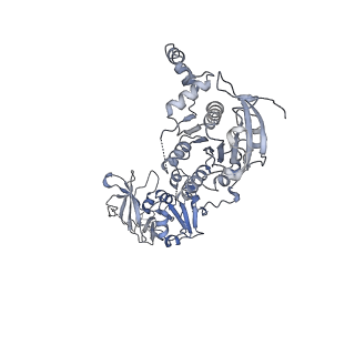 0381_6n9w_A_v1-1
Structure of bacteriophage T7 lagging-strand DNA polymerase (D5A/E7A) and gp4 (helicase/primase) bound to DNA including RNA/DNA hybrid, and an incoming dTTP (LagS2)