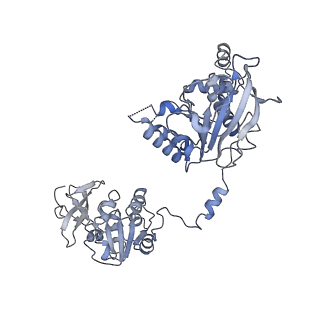 0381_6n9w_B_v1-1
Structure of bacteriophage T7 lagging-strand DNA polymerase (D5A/E7A) and gp4 (helicase/primase) bound to DNA including RNA/DNA hybrid, and an incoming dTTP (LagS2)
