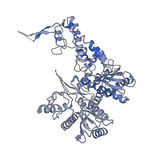 0381_6n9w_H_v1-1
Structure of bacteriophage T7 lagging-strand DNA polymerase (D5A/E7A) and gp4 (helicase/primase) bound to DNA including RNA/DNA hybrid, and an incoming dTTP (LagS2)