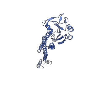 3605_5n9y_C_v1-3
The full-length structure of ZntB