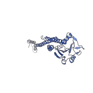 3605_5n9y_D_v1-3
The full-length structure of ZntB