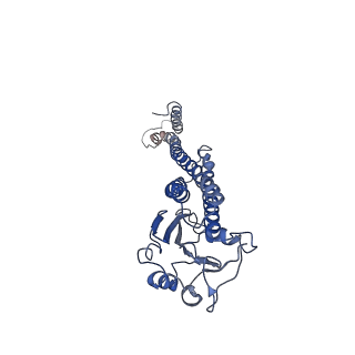 3605_5n9y_E_v1-3
The full-length structure of ZntB