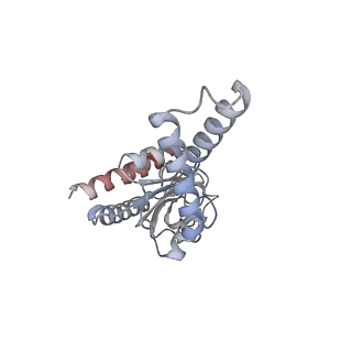 12245_7nar_B_v1-0
Complete Bacterial 30S ribosomal subunit assembly complex state F (+RsgA)(Consensus Refinement)