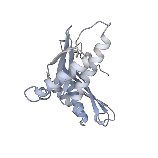 12245_7nar_C_v1-0
Complete Bacterial 30S ribosomal subunit assembly complex state F (+RsgA)(Consensus Refinement)