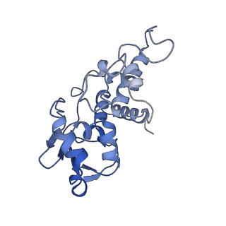 12245_7nar_D_v1-0
Complete Bacterial 30S ribosomal subunit assembly complex state F (+RsgA)(Consensus Refinement)