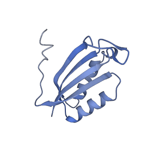 12245_7nar_F_v1-0
Complete Bacterial 30S ribosomal subunit assembly complex state F (+RsgA)(Consensus Refinement)