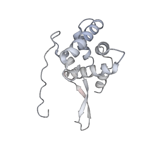 12245_7nar_G_v1-0
Complete Bacterial 30S ribosomal subunit assembly complex state F (+RsgA)(Consensus Refinement)