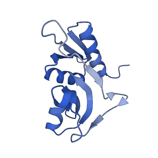 12245_7nar_H_v1-0
Complete Bacterial 30S ribosomal subunit assembly complex state F (+RsgA)(Consensus Refinement)