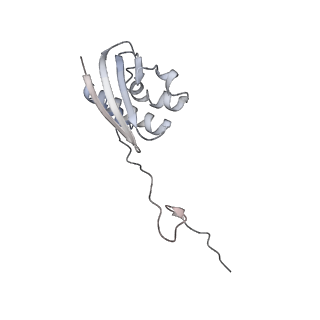 12245_7nar_I_v1-0
Complete Bacterial 30S ribosomal subunit assembly complex state F (+RsgA)(Consensus Refinement)