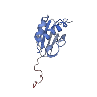 12245_7nar_K_v1-0
Complete Bacterial 30S ribosomal subunit assembly complex state F (+RsgA)(Consensus Refinement)