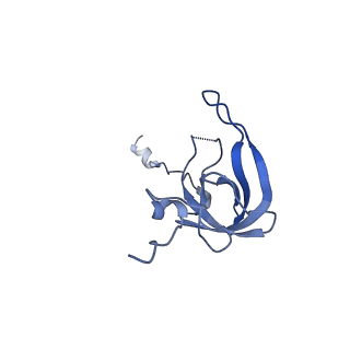 12245_7nar_L_v1-0
Complete Bacterial 30S ribosomal subunit assembly complex state F (+RsgA)(Consensus Refinement)