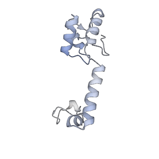12245_7nar_M_v1-0
Complete Bacterial 30S ribosomal subunit assembly complex state F (+RsgA)(Consensus Refinement)