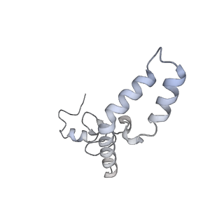 12245_7nar_N_v1-0
Complete Bacterial 30S ribosomal subunit assembly complex state F (+RsgA)(Consensus Refinement)