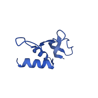 12245_7nar_P_v1-0
Complete Bacterial 30S ribosomal subunit assembly complex state F (+RsgA)(Consensus Refinement)