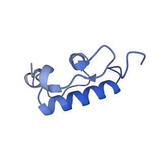 12245_7nar_R_v1-0
Complete Bacterial 30S ribosomal subunit assembly complex state F (+RsgA)(Consensus Refinement)