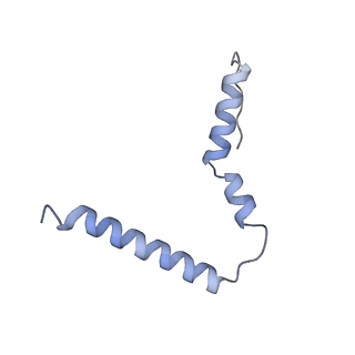 12245_7nar_U_v1-0
Complete Bacterial 30S ribosomal subunit assembly complex state F (+RsgA)(Consensus Refinement)