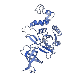 12245_7nar_W_v1-0
Complete Bacterial 30S ribosomal subunit assembly complex state F (+RsgA)(Consensus Refinement)