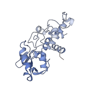 12246_7nas_D_v1-1
Bacterial 30S ribosomal subunit assembly complex state A (multibody refinement for body domain of 30S ribosome)