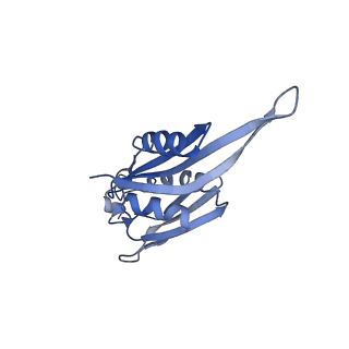 12246_7nas_E_v1-1
Bacterial 30S ribosomal subunit assembly complex state A (multibody refinement for body domain of 30S ribosome)