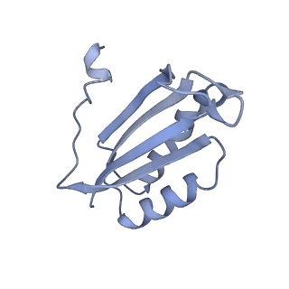 12246_7nas_F_v1-1
Bacterial 30S ribosomal subunit assembly complex state A (multibody refinement for body domain of 30S ribosome)