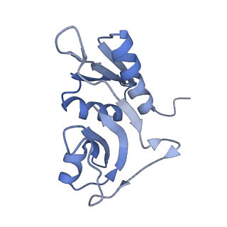 12246_7nas_H_v1-1
Bacterial 30S ribosomal subunit assembly complex state A (multibody refinement for body domain of 30S ribosome)