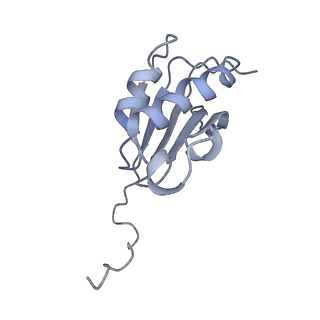 12246_7nas_K_v1-1
Bacterial 30S ribosomal subunit assembly complex state A (multibody refinement for body domain of 30S ribosome)
