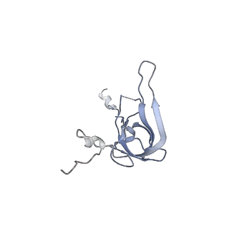 12246_7nas_L_v1-1
Bacterial 30S ribosomal subunit assembly complex state A (multibody refinement for body domain of 30S ribosome)