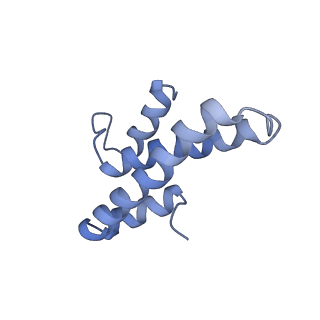 12246_7nas_O_v1-1
Bacterial 30S ribosomal subunit assembly complex state A (multibody refinement for body domain of 30S ribosome)