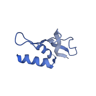 12246_7nas_P_v1-1
Bacterial 30S ribosomal subunit assembly complex state A (multibody refinement for body domain of 30S ribosome)