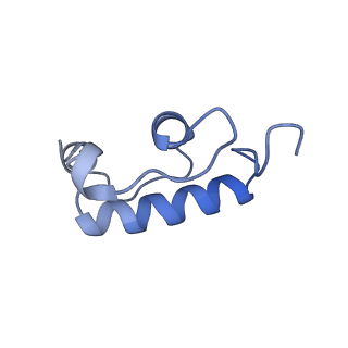 12246_7nas_R_v1-1
Bacterial 30S ribosomal subunit assembly complex state A (multibody refinement for body domain of 30S ribosome)