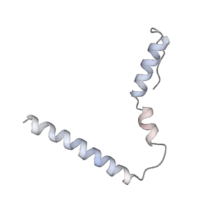 12246_7nas_U_v1-1
Bacterial 30S ribosomal subunit assembly complex state A (multibody refinement for body domain of 30S ribosome)