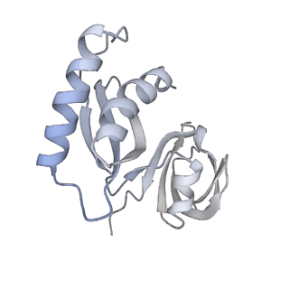 12246_7nas_X_v1-1
Bacterial 30S ribosomal subunit assembly complex state A (multibody refinement for body domain of 30S ribosome)