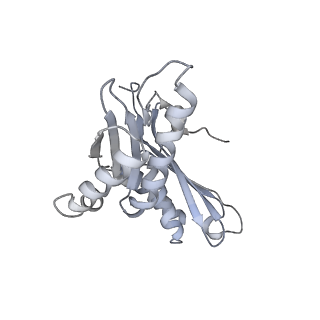 12247_7nat_C_v1-0
Bacterial 30S ribosomal subunit assembly complex state A (Consensus refinement)
