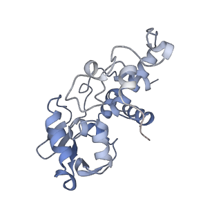 12247_7nat_D_v1-0
Bacterial 30S ribosomal subunit assembly complex state A (Consensus refinement)