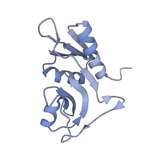12247_7nat_H_v1-0
Bacterial 30S ribosomal subunit assembly complex state A (Consensus refinement)