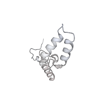12247_7nat_N_v1-0
Bacterial 30S ribosomal subunit assembly complex state A (Consensus refinement)