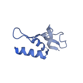 12247_7nat_P_v1-0
Bacterial 30S ribosomal subunit assembly complex state A (Consensus refinement)