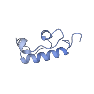 12247_7nat_R_v1-0
Bacterial 30S ribosomal subunit assembly complex state A (Consensus refinement)