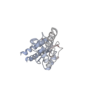 12248_7nau_B_v1-0
Bacterial 30S ribosomal subunit assembly complex state C (Consensus Refinement)