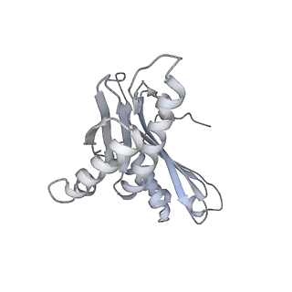 12248_7nau_C_v1-0
Bacterial 30S ribosomal subunit assembly complex state C (Consensus Refinement)