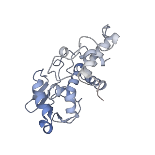 12248_7nau_D_v1-0
Bacterial 30S ribosomal subunit assembly complex state C (Consensus Refinement)
