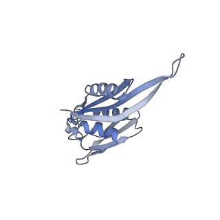 12248_7nau_E_v1-0
Bacterial 30S ribosomal subunit assembly complex state C (Consensus Refinement)