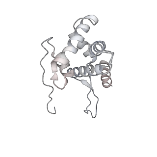 12248_7nau_G_v1-0
Bacterial 30S ribosomal subunit assembly complex state C (Consensus Refinement)