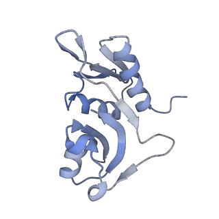 12248_7nau_H_v1-0
Bacterial 30S ribosomal subunit assembly complex state C (Consensus Refinement)